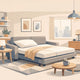 Best Sofa Bed for Small Apartment Living